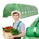 Теплиця, парник армована плівкова 24м2 VOLSO VS 08320 з вікнами 8 х 3 х 2 м зелена VS 08320 фото 11