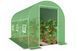 Парник теплиця Kontrast 6м2 (300х200х200см) Польща P0021 фото 61